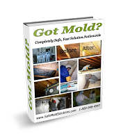 Safe Mold Solutions Presents